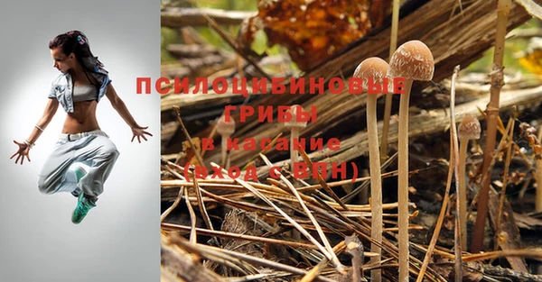 метадон Гвардейск