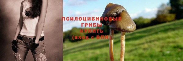 гидропоника Белоозёрский