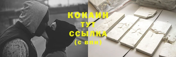 бошки Гатчина