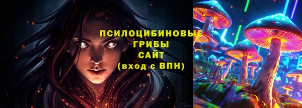дмт Богородск