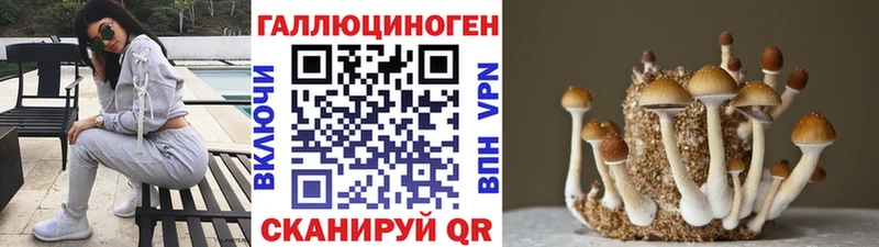 Галлюциногенные грибы прущие грибы  Воркута 