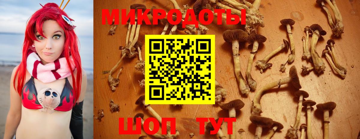 Воркута  Псилоцибиновые грибы Psilocybe  Вход с VPN 